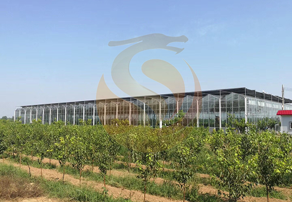 河北省清涼鎮古早清涼現代農業觀光旅游項目-智能溫室